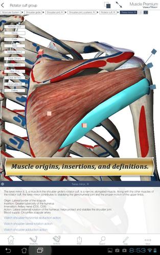 Muscle Premium for Springer