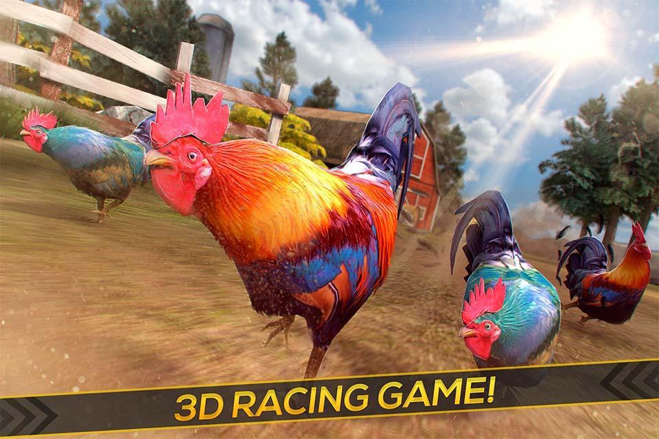 Wild Rooster Run