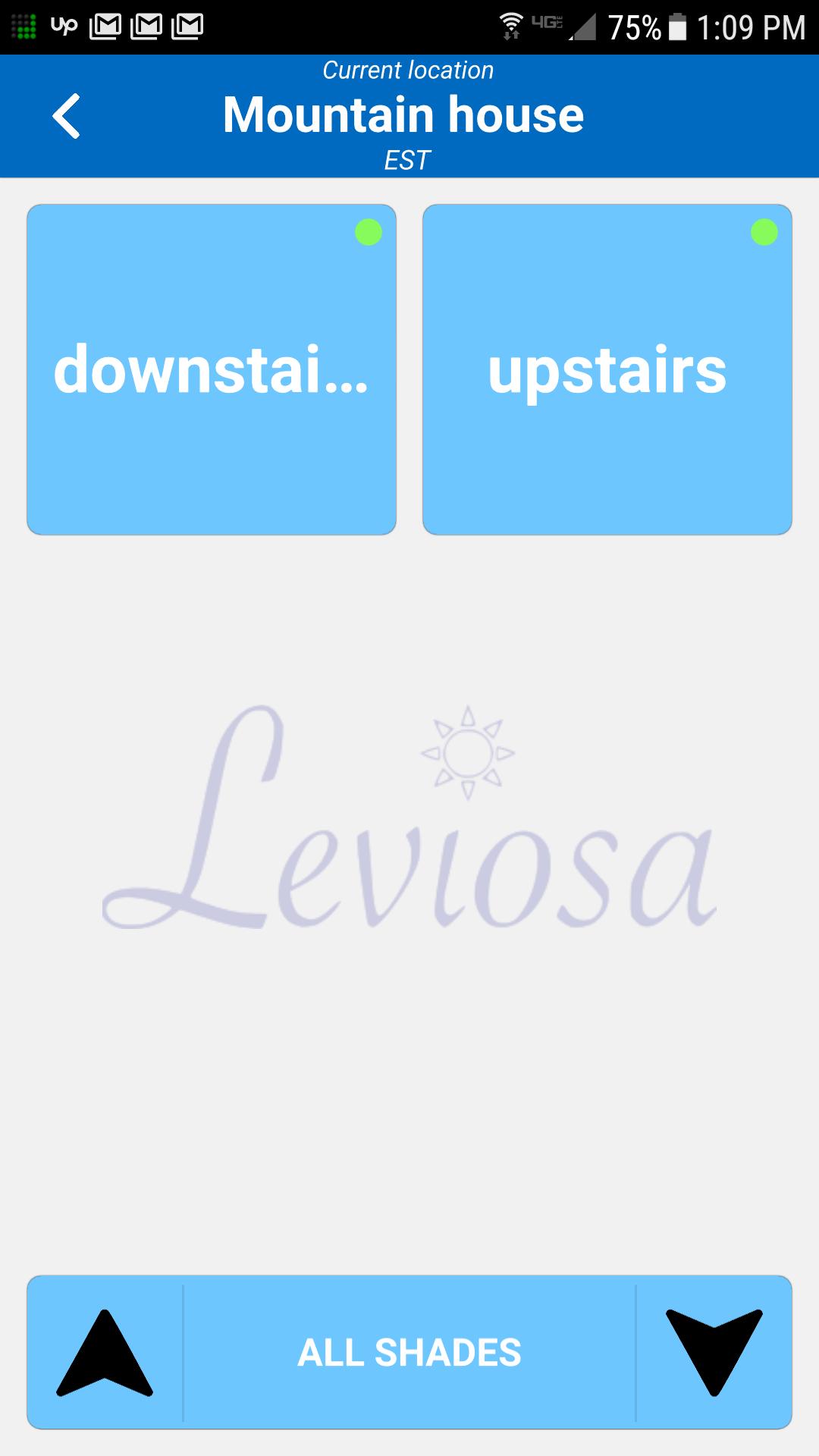 Leviosa