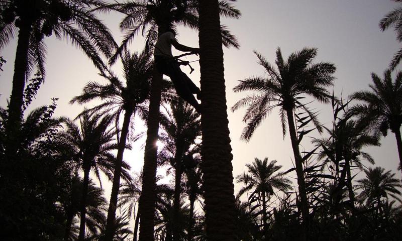 Iraq wallpapers