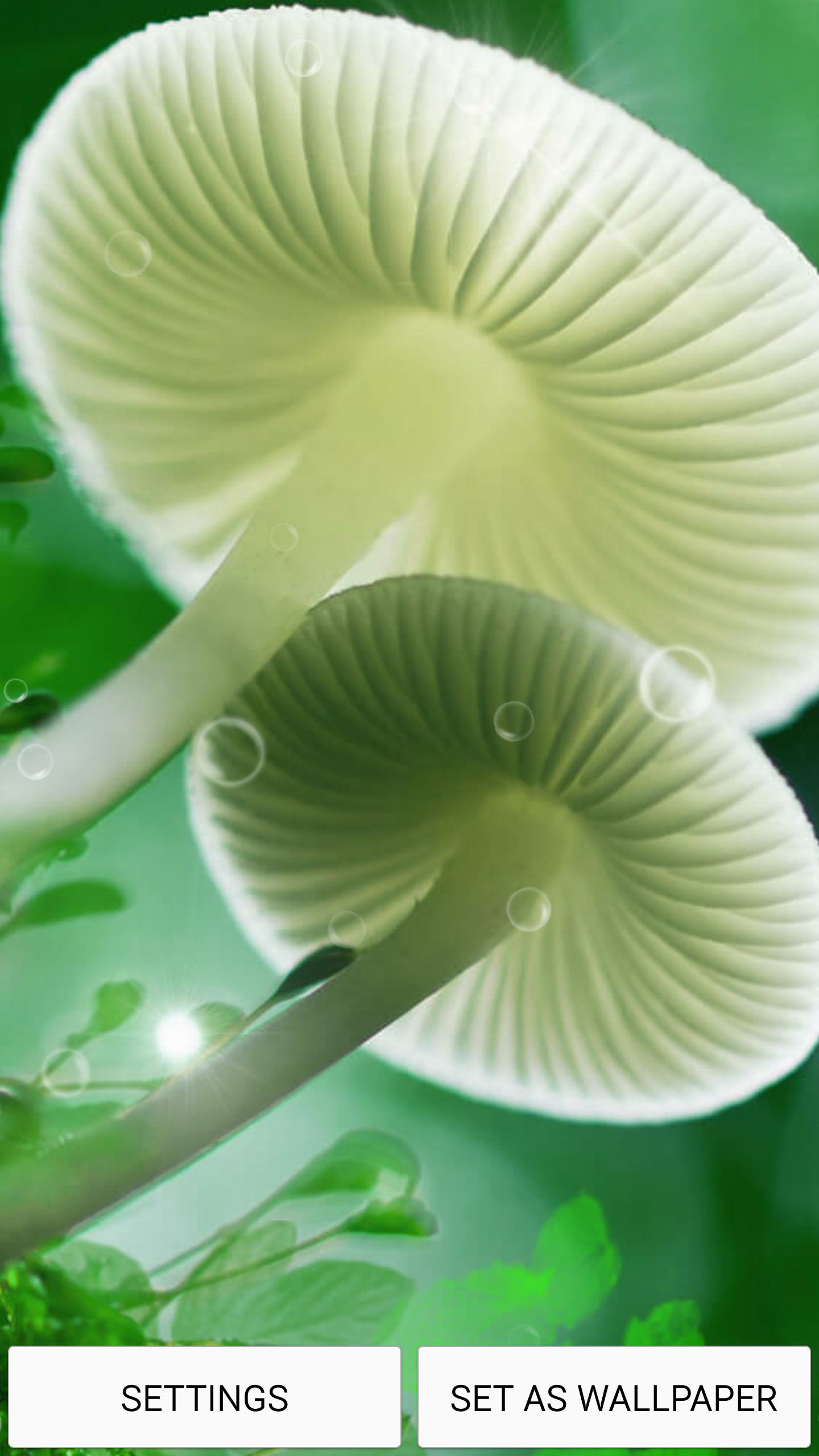 Mushrooms Live Wallpaper