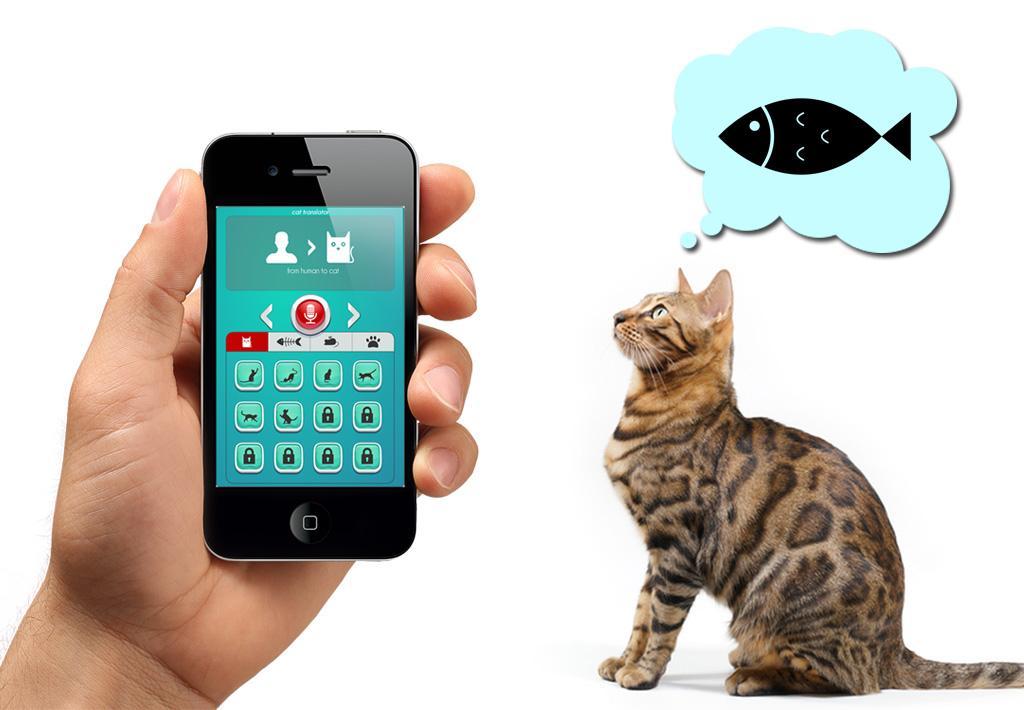 Easy Cat's Translator