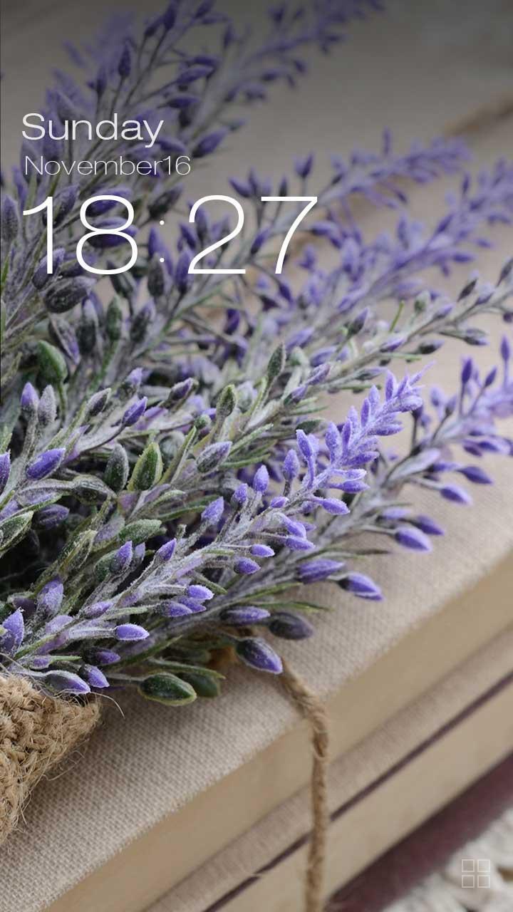 ZUI Locker Theme - Reading