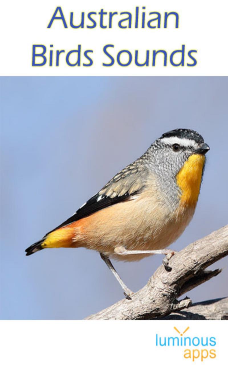 Australian Birds Sounds Free