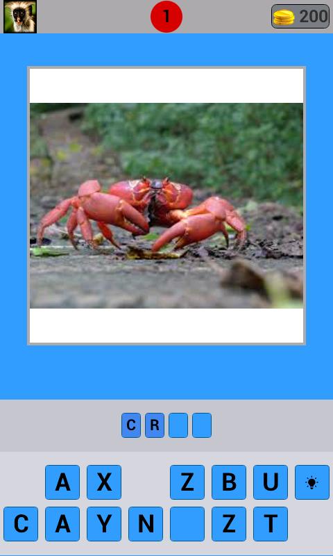 Animal Pictures Quiz
