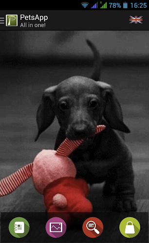 PetsApp - All in one!