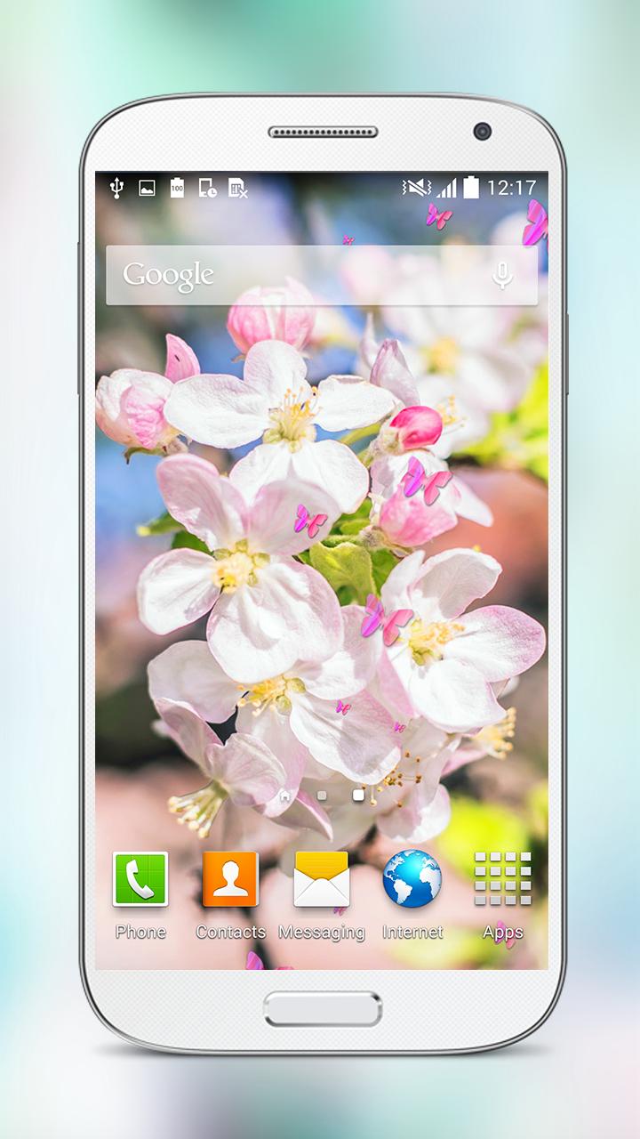 Spring Cherry Flower Wallpaper