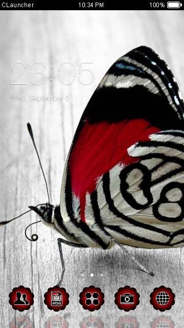 Red Butterfly Theme