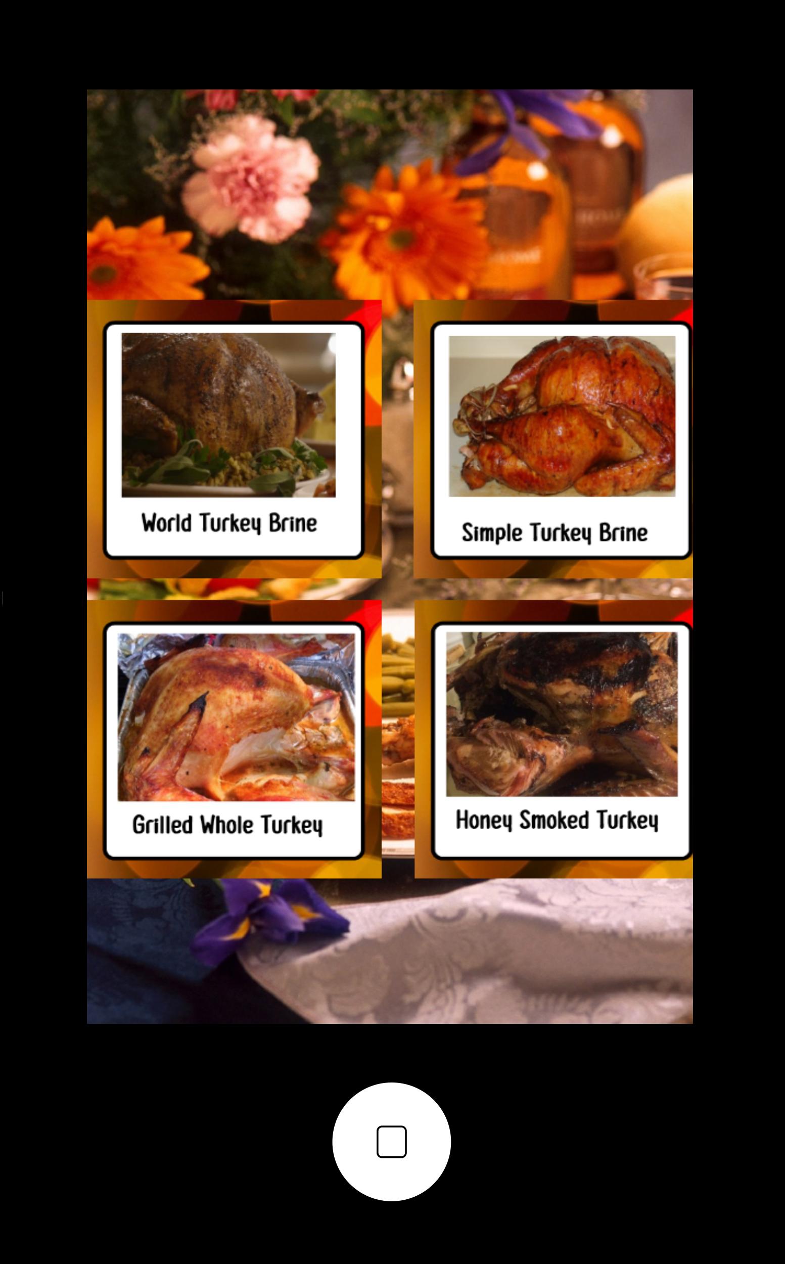 Thanksgiving Turkey Recipes