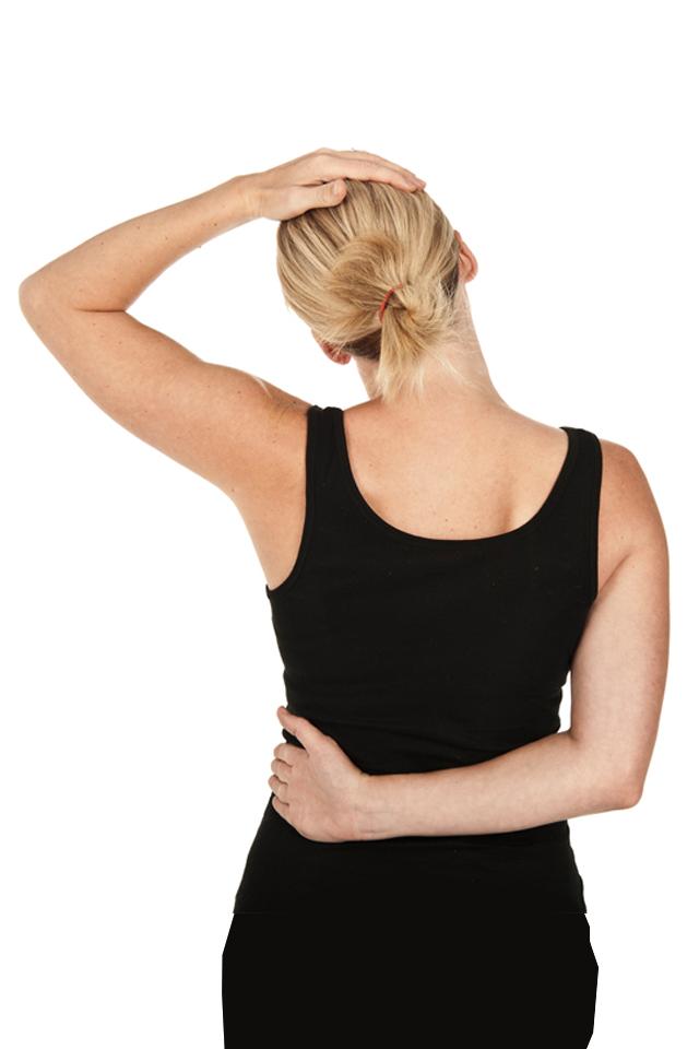 Neck Workout Free