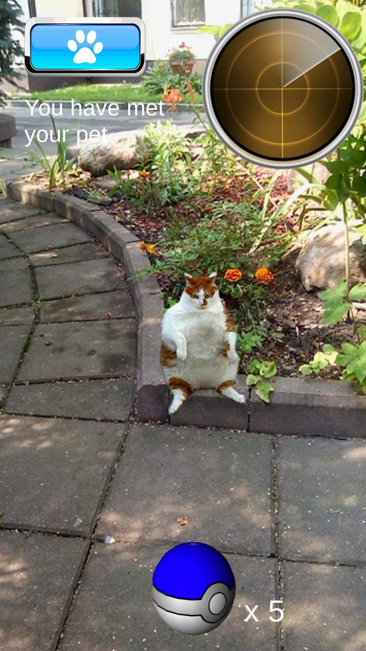 Pocket Cats GO